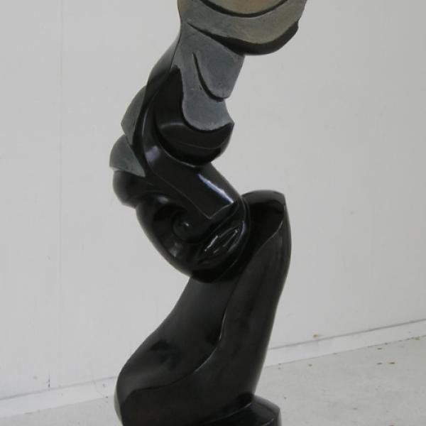 Professional - M. Chamba